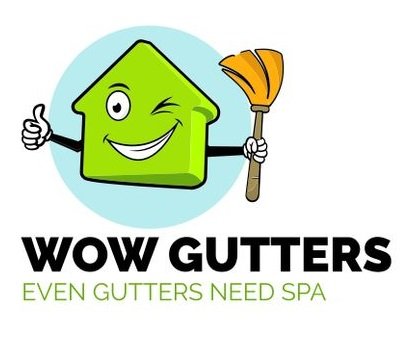 Gutter Cleaning