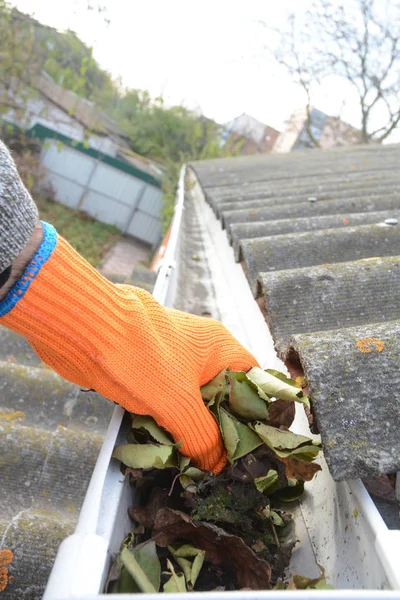 gutter cleaning