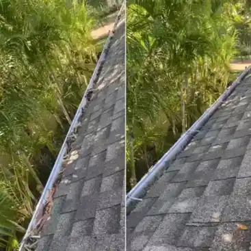 Gutter Cleaner
