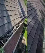 How Clean Gutters Protect Your Home from Water Damage