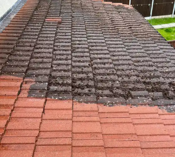 Roof Cleaning