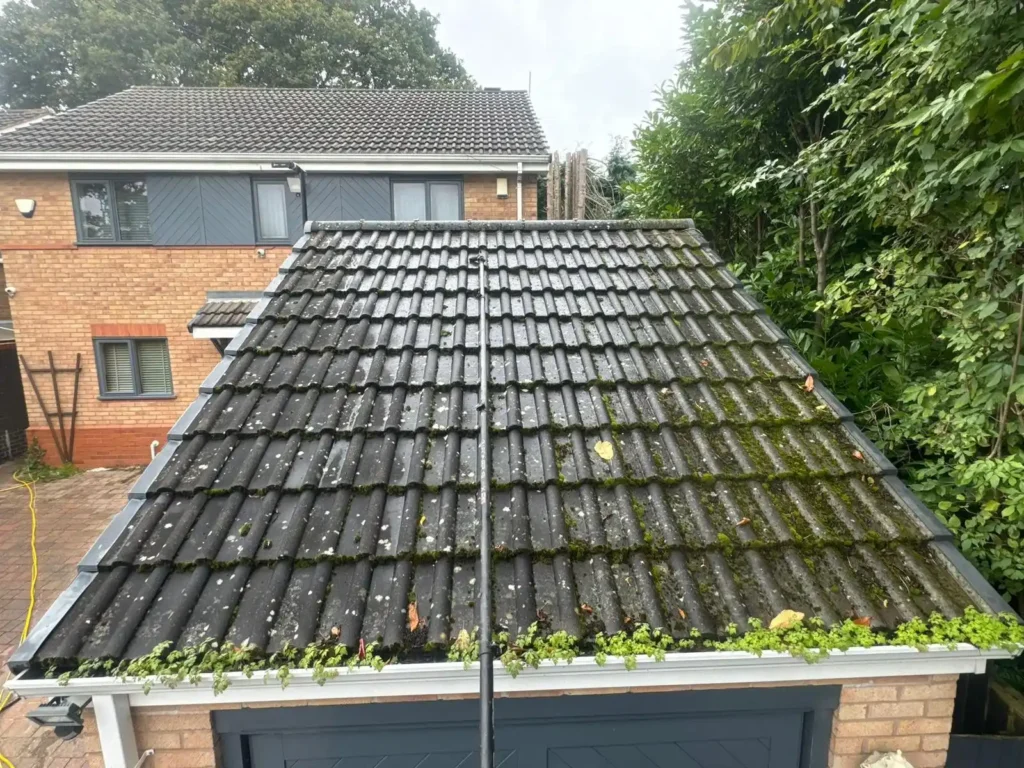 Roof Cleaning Service